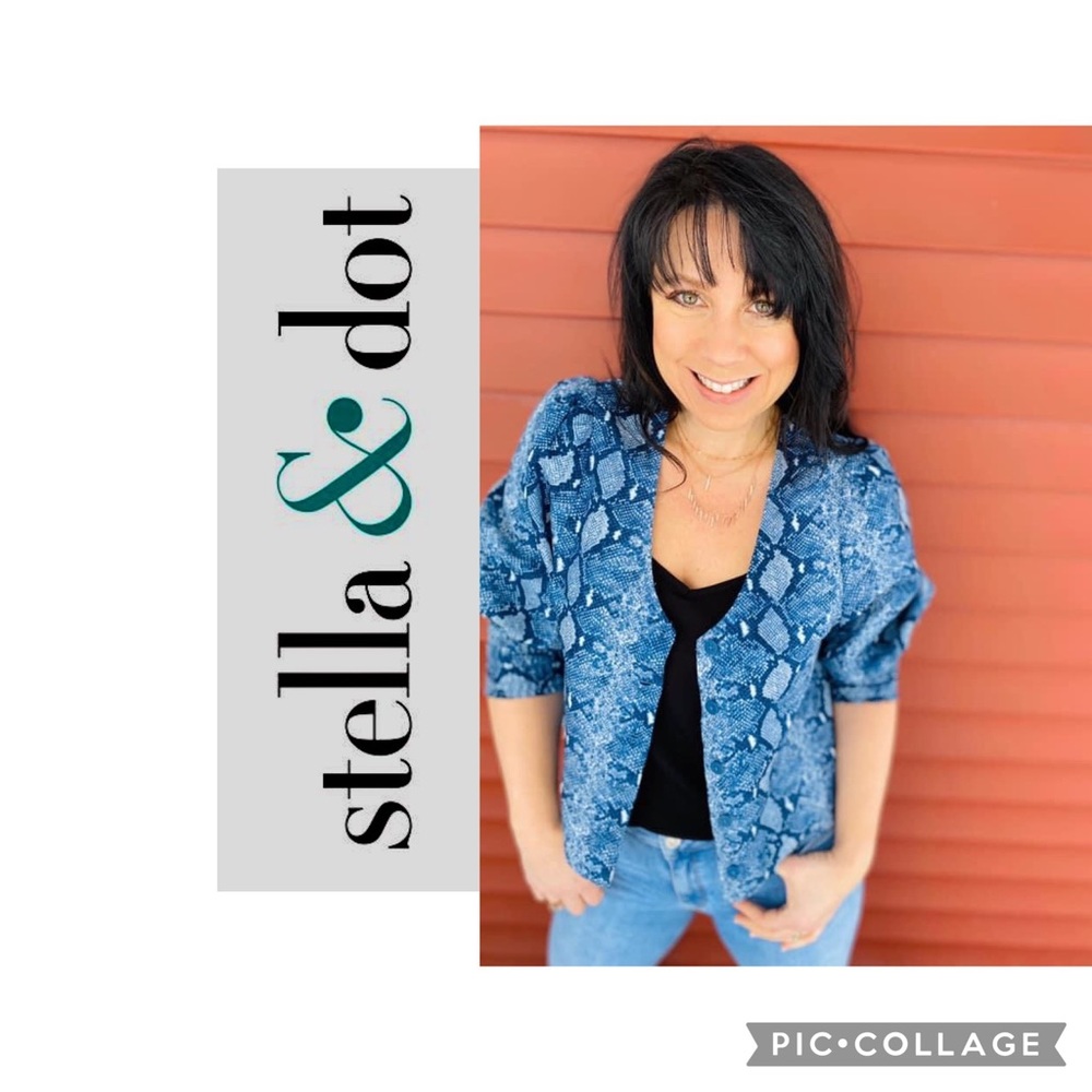71 - Stella & dot Double take blue snake skin patterned reversible blouse